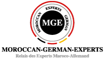 Logo_MGE_Site
